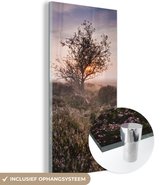 MuchoWow® Glasschilderij 20x40 cm - Schilderij acrylglas - De heide bij zonsopgang - Foto op glas - Schilderijen