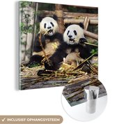 MuchoWow® Glasschilderij 90x90 cm - Schilderij acrylglas - Panda - Wilde dieren - Bamboe - Foto op glas - Schilderijen