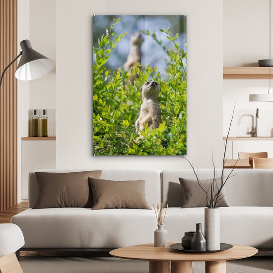 Peinture sur Verre - Buissons - Suricate - Animal - 80x120 cm - Peintures Plexiglas