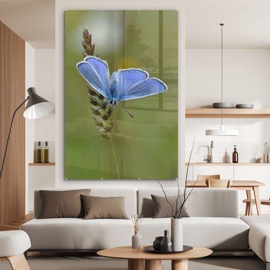 MuchoWow® Peinture sur verre - Papillon bleu sur une tige de maïs - 120x180 cm - Peintures sur verre acrylique - Photo sur Glas
