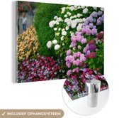 MuchoWow® Glasschilderij 120x80 cm - Schilderij acrylglas - Levendige hortensia bloemen - Foto op glas - Schilderijen