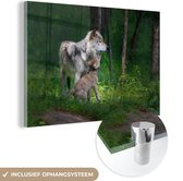 MuchoWow® Glasschilderij 120x80 cm - Schilderij acrylglas - Grijze wolf met haar pup - Foto op glas - Schilderijen