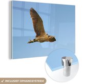 MuchoWow® Glasschilderij 150x100 cm - Schilderij acrylglas - Een roerdomp zweeft door de lucht - Foto op glas - Schilderijen
