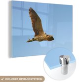 MuchoWow® Peinture sur Verre - Un butor flotte dans les airs - 150x100 cm - Peintures sur Verre Acrylique - Photo sur Glas
