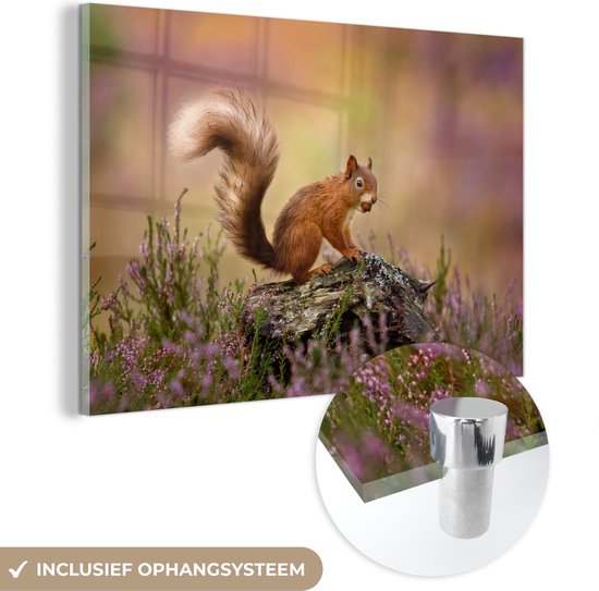 MuchoWow® Glasschilderij 60x40 cm - Schilderij acrylglas - Hout - Eekhoorn - Bloemen - Foto op glas - Schilderijen