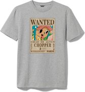 Tshirt Grijs Chopper One Piece 100 Berry Wanted Poster Maat S