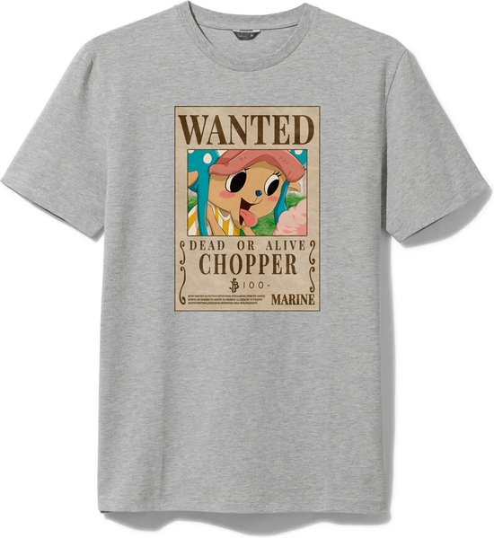 Tshirt Grijs Chopper One Piece 100 Berry Wanted Poster