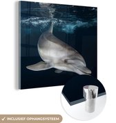 MuchoWow® Glasschilderij 90x90 cm - Schilderij acrylglas - Dolfijn - Water - Foto op glas - Schilderijen