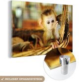 MuchoWow® Peinture sur verre 180x120 cm - Peinture acrylique sur verre - Bébé singe dans un panier en osier - Garçon - Enfant - Filles - Enfants - Photo sur verre - Peintures