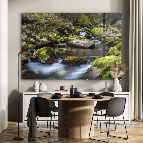 ® Glasschilderij 150x100 cm - Schilderij acrylglas - Bemoste rotsen in het Sloveense Nationaal park Triglav - Foto op glas - Muurdecoratie woonkamer - Wanddecoratie slaapkamer - Schilderijen
