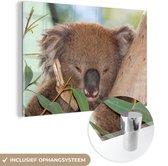 MuchoWow® Glasschilderij 60x40 cm - Schilderij acrylglas - Koala - Bladeren- Grijs - Foto op glas - Schilderijen