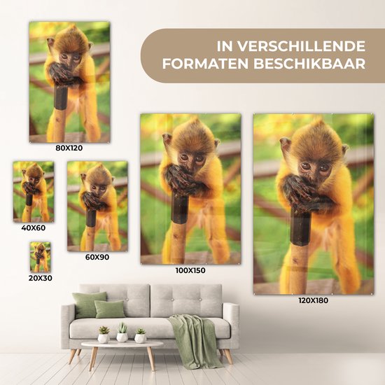 MuchoWow® Peinture sur verre 120x180 cm - Peinture sur verre acrylique - Portrait coloré d'un bébé singe - Garçons - Filles - Enfants - Enfant - Photo sur verre - Peintures