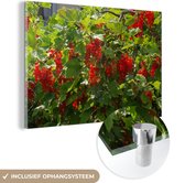 MuchoWow® Glasschilderij 180x120 cm - Schilderij acrylglas - currant bush - Foto op glas - Schilderijen