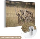 MuchoWow® Glasschilderij 30x20 cm - Schilderij acrylglas - Cheeta met jongen - Foto op glas - Schilderijen