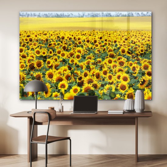 MuchoWow® Peinture sur verre 180x120 cm - Peinture sur verre acrylique - Tournesol - Fleurs - Nature - Photo sur verre - Peintures