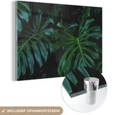 MuchoWow® Glasschilderij 120x80 cm - Schilderij acrylglas - Monstera - Bladeren - Tropisch - Jungle - Foto op glas - Schilderijen