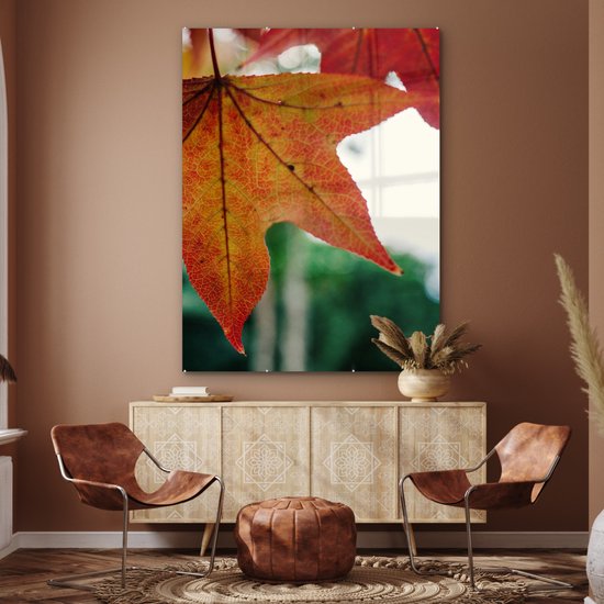 MuchoWow® Peinture sur verre 120x160 cm - Peinture sur verre acrylique - Automne - Rural - Feuilles - Saisons - Rural - Photo sur verre - Peintures