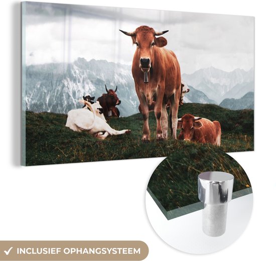 MuchoWow® Peinture sur Verre - Animaux - Vache - Berg - 120x60 cm - Peintures sur Verre Acrylique - Photo sur Glas