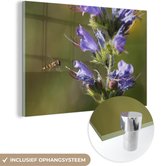 MuchoWow® Glasschilderij - Bernagie plant in de natuur met een kleine bij - 120x80 cm - Acrylglas Schilderijen - Foto op Glas