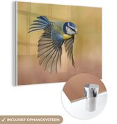 MuchoWow® Glasschilderij 120x90 cm - Schilderij acrylglas - Een kleurrijke vliegende pimpelmees - Foto op glas - Schilderijen