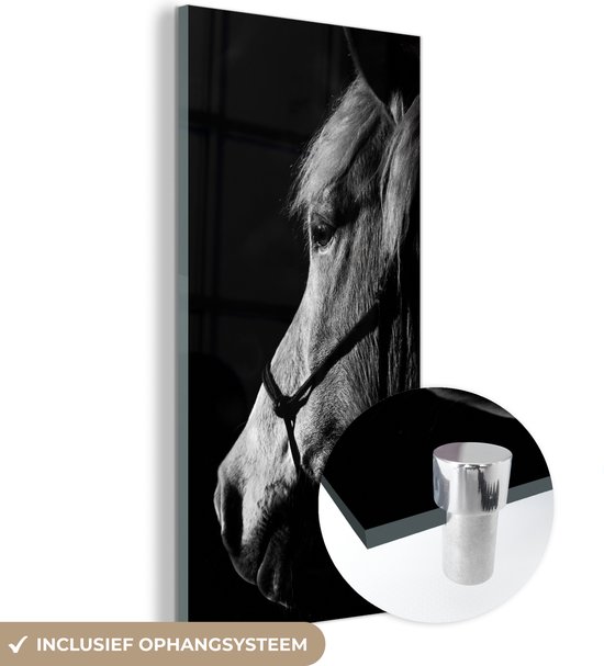 MuchoWow® Peinture sur verre - Cheval - Licol - Lumière - 60x120 cm - Peintures sur verre acrylique - Photo sur Glas