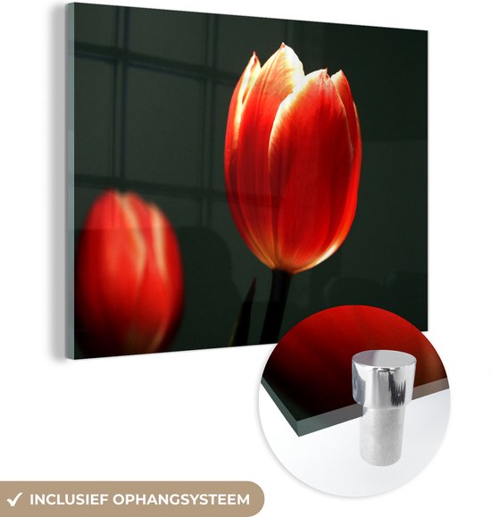 MuchoWow® Glasschilderij 120x90 cm - Schilderij acrylglas - Licht schijnt op de rode tulp - Foto op glas - Schilderijen