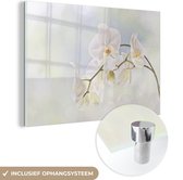 MuchoWow® Peinture sur Verre - Orchidée Witte sur Fond Délavé - 150x100 cm - Peintures sur Verre Acrylique - Photo sur Glas