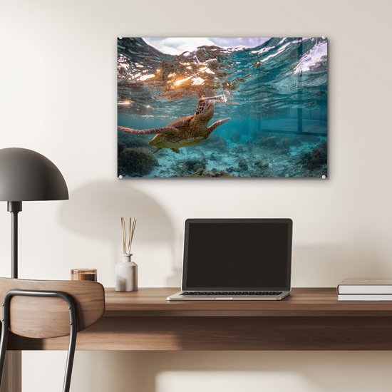 MuchoWow® Peinture sur verre 60x40 cm - Peinture sur verre acrylique - Mer - Tortue - Couleurs - Photo sur verre - Peintures