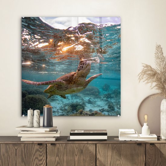 MuchoWow® Peinture sur Verre - Mer - Tortue - Couleurs - 50x50 cm - Peintures Acrylique - Photo sur Glas