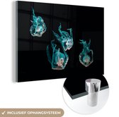 MuchoWow® Glasschilderij 90x60 cm - Schilderij acrylglas - Kwal - Zeedieren - Zwart - Foto op glas - Schilderijen