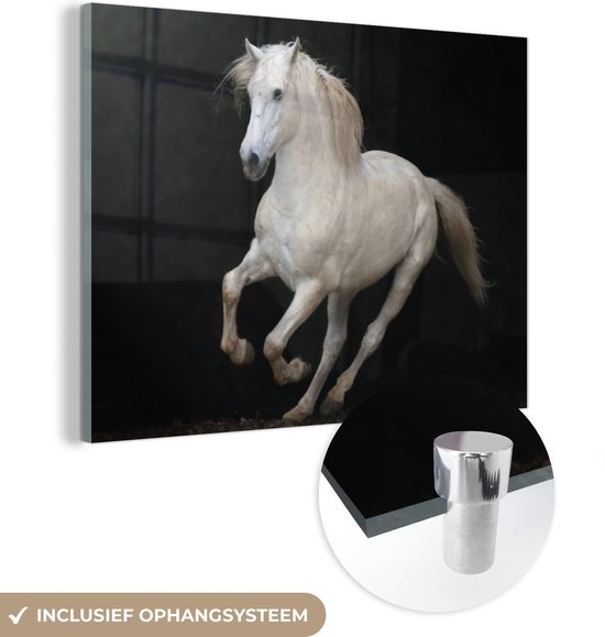 MuchoWow® Glasschilderij 40x30 cm - Schilderij acrylglas - Paarden - Zwart - Portret - Foto op glas - Schilderijen