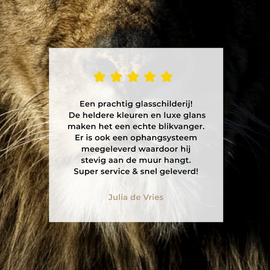 MuchoWow® Peinture sur verre - Lion - Lumière - Zwart - 30x40 cm - Peintures sur verre acrylique - Photo sur Glas