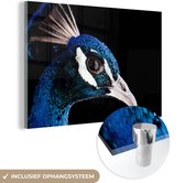 MuchoWow® Peinture sur verre 30x20 cm - Peinture acrylique sur verre - Paon - Animal - Blauw - Photo sur verre - Peintures