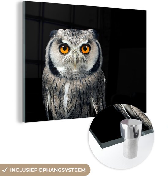 Glasschilderij - Dieren - Uil - Vogel - Oranje - Zwart - Muurdecoratie - Foto op glas - 40x30 cm - Acrylglas - Schilderij glas - Decoratie woonkamer - Kamerdecoratie