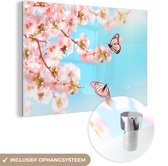 60 cm x 40 cm