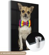 MuchoWow® Glasschilderij 90x120 cm - Schilderij acrylglas - Hond - Strik - Zwart - Foto op glas - Schilderijen