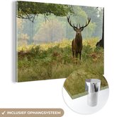MuchoWow® Glasschilderij 120x80 cm - Schilderij acrylglas - Edelhert - Natuur - Groen - Foto op glas - Schilderijen
