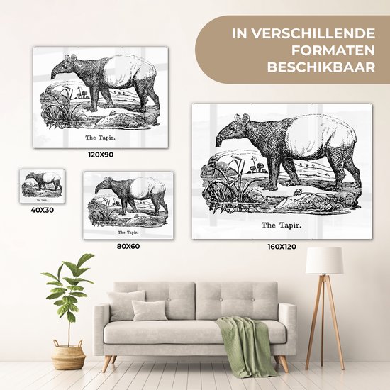 MuchoWow® Peinture sur verre 160x120 cm - Peinture sur verre acrylique - Illustration d'un tapir dans un champ en noir et blanc - Photo sur verre - Peintures