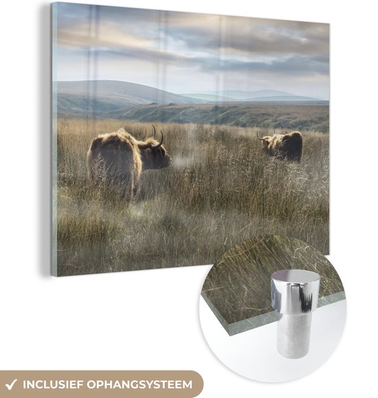 MuchoWow® Glasschilderij 40x30 cm - Schilderij acrylglas - Schotse Hooglanders - Mist - Gras - Foto op glas - Schilderijen