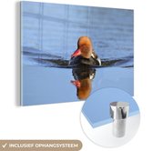 MuchoWow® Glasschilderij 60x40 cm - Schilderij acrylglas - Meer - Krooneend - Eend - Foto op glas - Schilderijen