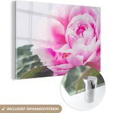 MuchoWow® Peinture sur verre 120x80 cm - Peinture sur verre acrylique - Gros plan d'une pivoine rose avec des feuilles - Photo sur verre - Peintures