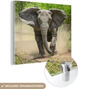 MuchoWow® Glasschilderij 50x50 cm - Schilderij acrylglas - Rennende olifant - Foto op glas - Schilderijen