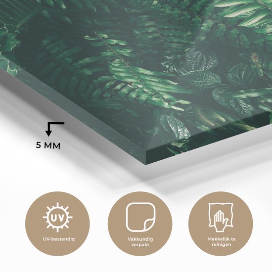 MuchoWow® Peinture sur Verre - Feuilles - Jungle - Nature - Tropical - Plantes - 150x100 cm - Peintures sur Verre Acrylique - Photo sur Glas