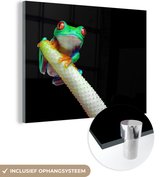 MuchoWow® Glasschilderij 80x60 cm - Schilderij acrylglas - Kikker - Dieren - Plant - Foto op glas - Schilderijen