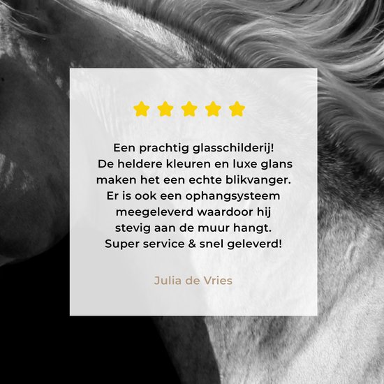 MuchoWow® Peinture sur Verre - Paarden - Animaux - Portrait - 60x40 cm - Peintures sur Verre Acrylique - Photo sur Glas