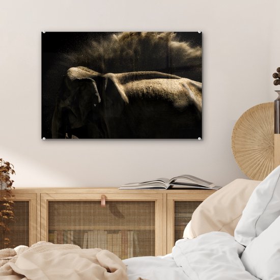 MuchoWow® Peinture sur verre 60x40 cm - Peinture sur verre acrylique - Éléphant - Boue - Animaux - Zwart - Photo sur verre - Peintures