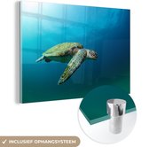 MuchoWow® Peinture sur verre 180x120 cm - Peinture sur verre acrylique - Une tortue verte avec des rayons de soleil qui passent - Photo sur verre - Peintures