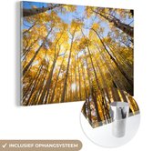 MuchoWow® Glasschilderij 60x40 cm - Schilderij acrylglas - Herfst - Bomen - Bos - Foto op glas - Schilderijen