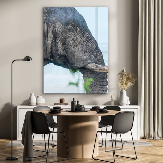 MuchoWow® Peinture sur verre 90x120 cm - Peinture sur verre acrylique - Éléphant - Animaux - Grijs - Nature - Photo sur verre - Peintures