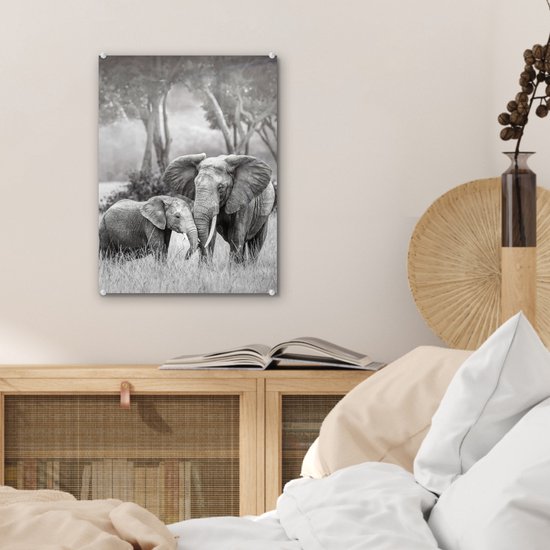 MuchoWow® Tableau en verre 30x40 cm - Peinture sur verre acrylique - Éléphant - Animaux - Nature - Noir et blanc - Photo sur verre - Tableaux